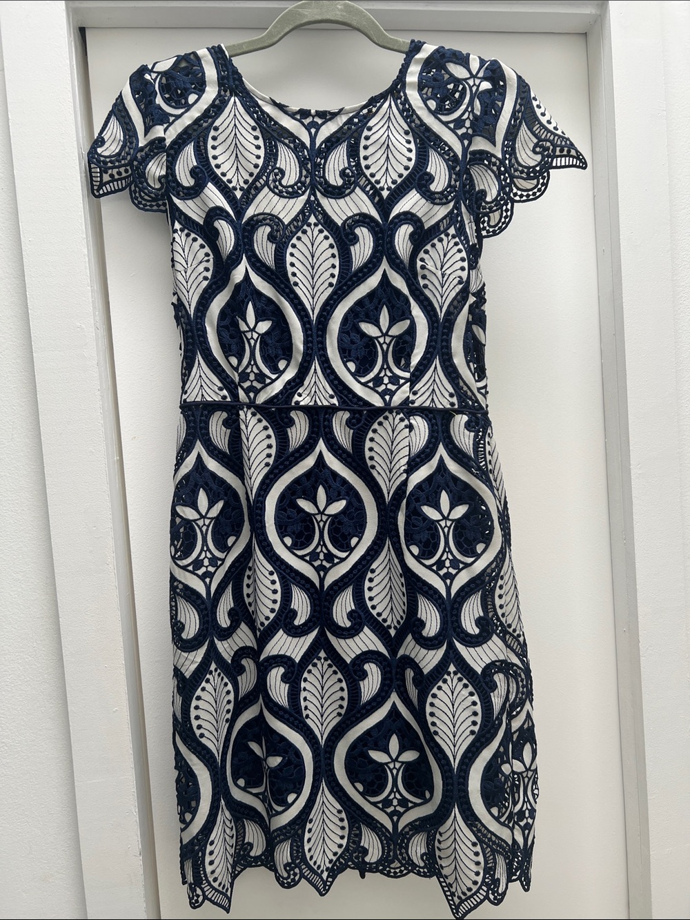 Navy & White Lace-Overlay Dress